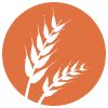 Gluten